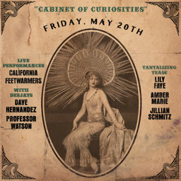 Cabinet of Curiosities